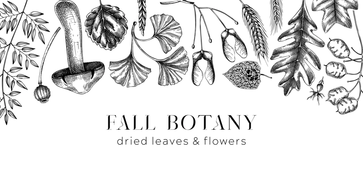 Autumn banner with fallen leaves and dried flowers. Sketched botanical border template. Hand-drawn dried herbs, fall leaves, mushrooms, and fruit illustration. Black and white Thanksgiving background.